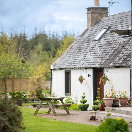Cosy & Rustic Retreat - Woodland Cottage. Нерн Екстер'єр фото