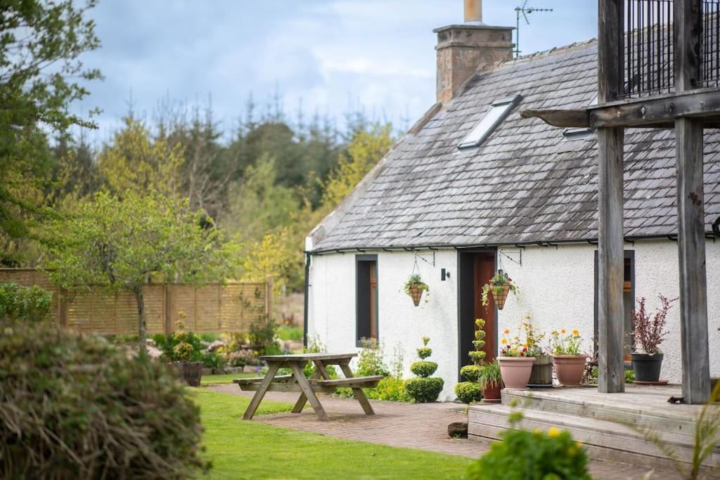 Cosy & Rustic Retreat - Woodland Cottage. Нерн Екстер'єр фото